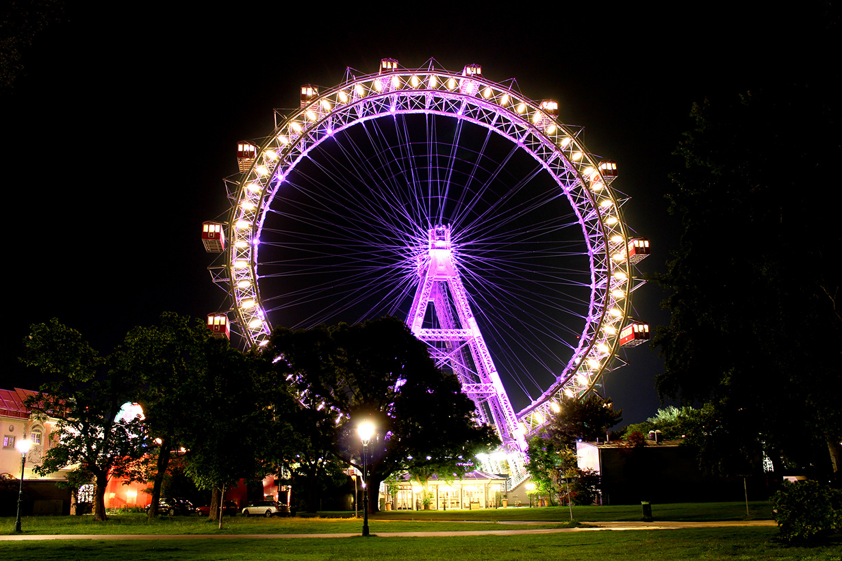 Ferris Wheel for sale