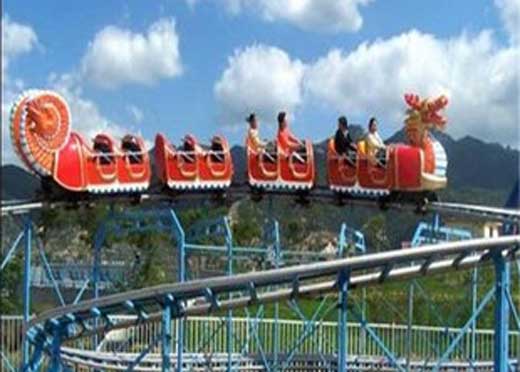 backyard roller coaster with dragon