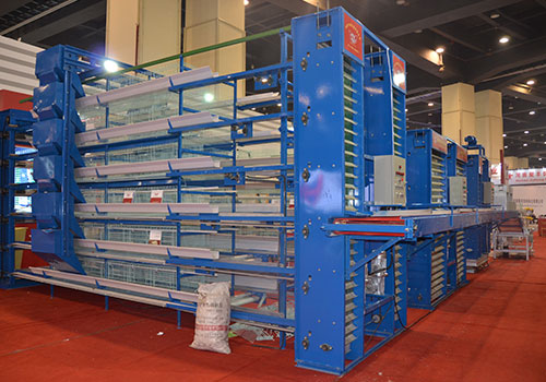 Layer cage with a conveyor system