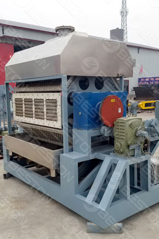 Beston Egg Tray Making Machine for Sale